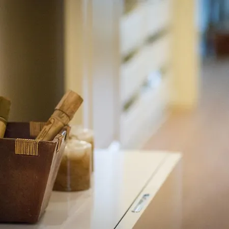 贝加莫贵宾公寓 4*